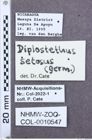 Etikette zu Diplostethus setosus (NHMW-ZOO-COL-0010547)